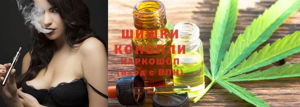 индика Белокуриха