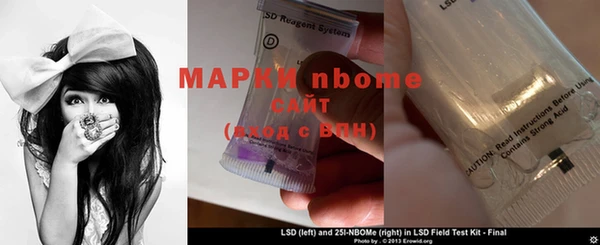индика Белокуриха