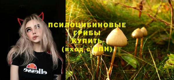 дживик Нязепетровск