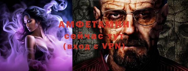 индика Белокуриха