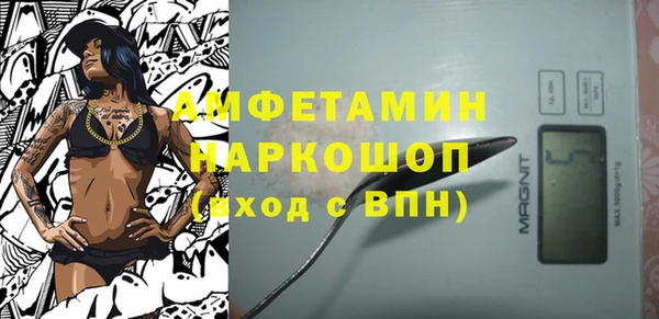 индика Белокуриха