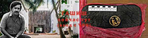 индика Белокуриха