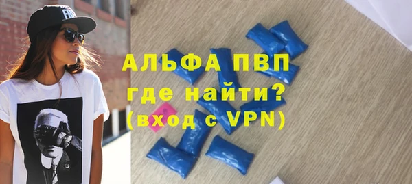 индика Белокуриха